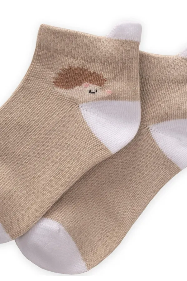 Kirpi Desen çocuk Patik Çorabı 5-12 Yaş Bej