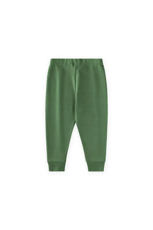 Tayt Pantolon 1-5 Yaş Yağ Yeşili