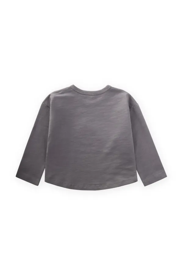 Embroidered Sweatshirt 1-5 Years Old Gray