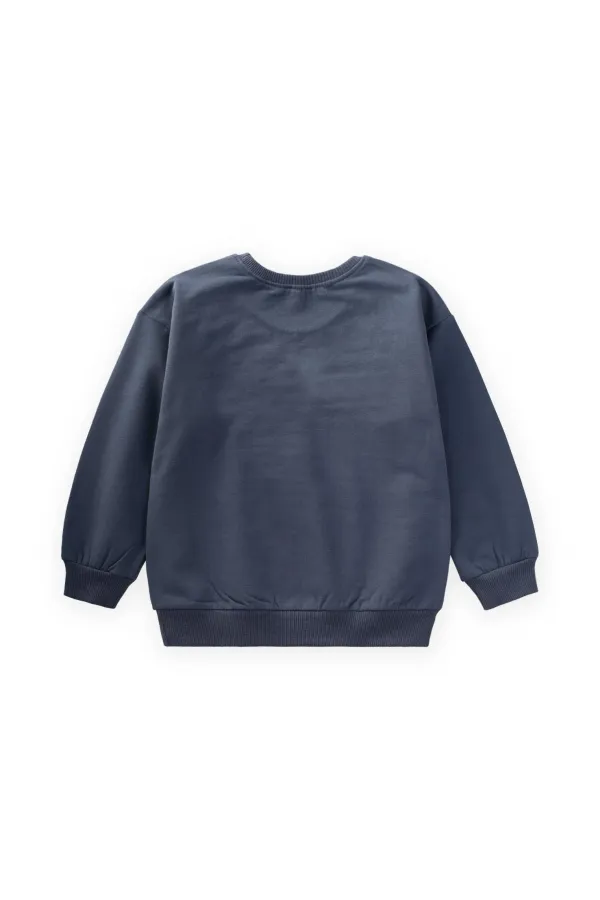 Çiçek Nakışlı Sweatshirt 2-7 Yaş Lacivert