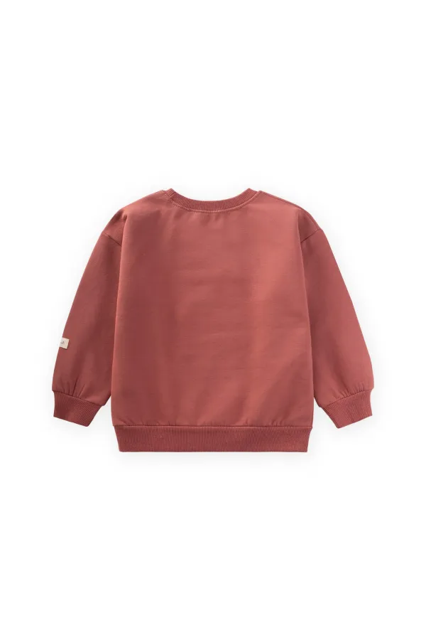 Horse Applique Sweatshirt, 1-6 Years Old, Dusty Rose