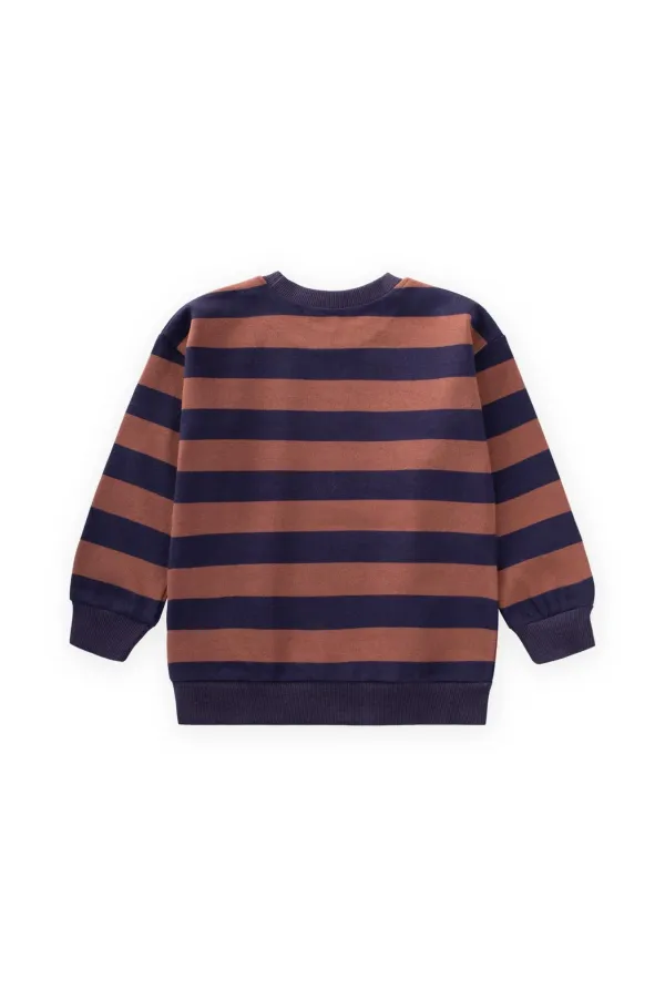 Striped Knitted Sweatshirt 2-12 Years Old Navy Blue Brown