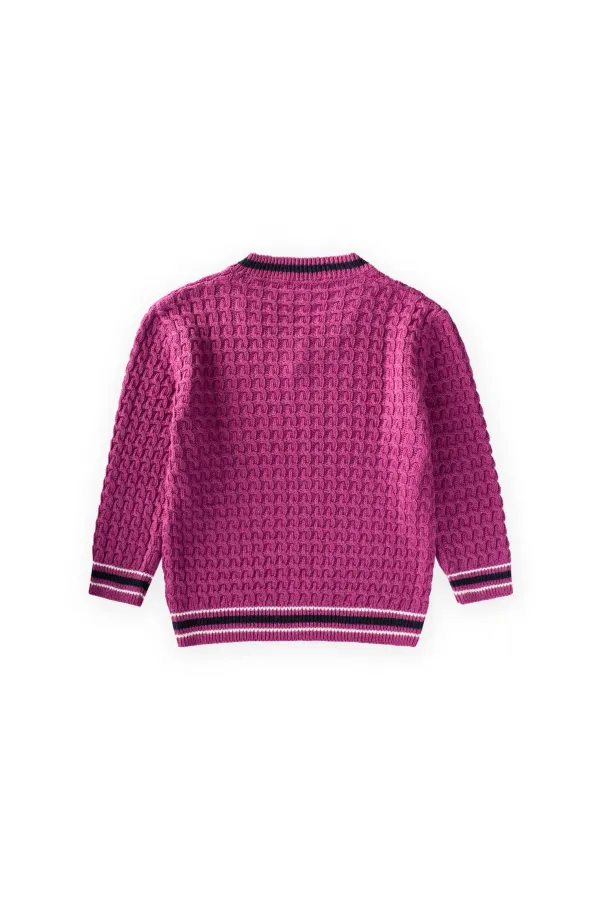 Saç Örgü V Yaka Kazak 2-9 Yaş Erguvan