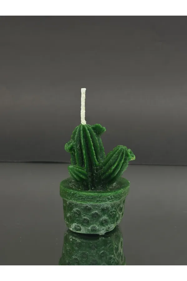 Decorative Candle with Potted Cactus Figurine