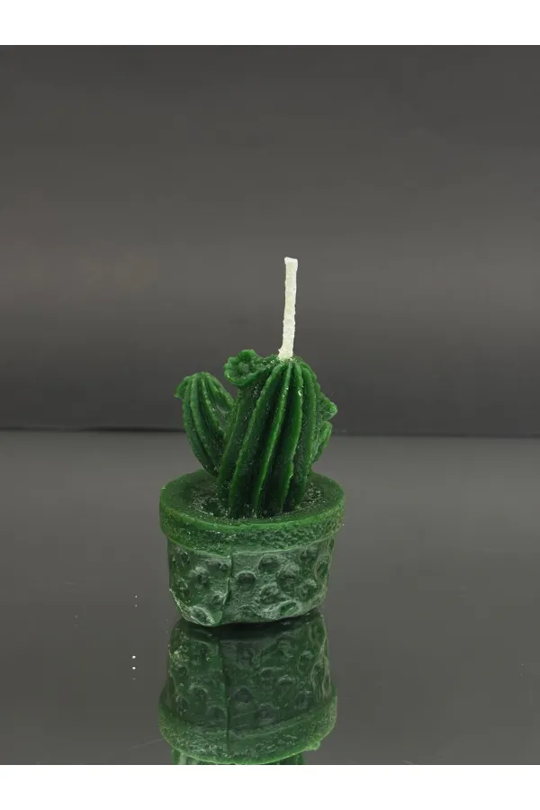 Decorative Candle with Potted Cactus Figurine