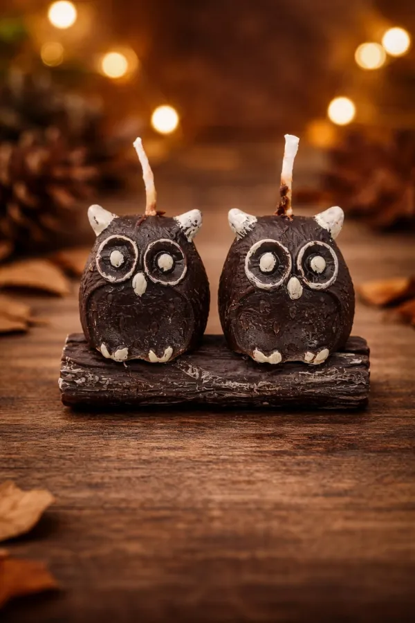 Coffret de 3 bougies décoratives en cire de soja, avec un hibou perché sur une bûche.