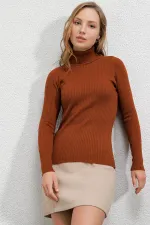 Pull col roulé côtelé pour femme HZL22W-BD1445001