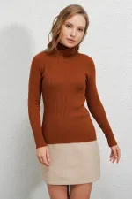 Pull col roulé côtelé pour femme HZL22W-BD1445001