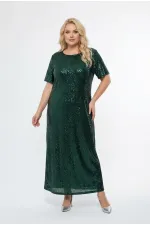 Kadın Yeşil Büyük Beden Payetli Uzun Abiye Elbise Şık Elbise HZL26S-PR11111