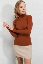 Pull col roulé côtelé pour femme HZL22W-BD1445001