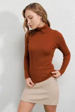 Pull col roulé côtelé pour femme HZL22W-BD1445001