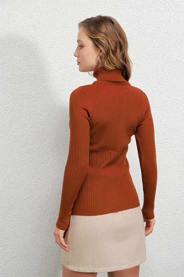 Pull col roulé côtelé pour femme HZL22W-BD1445001