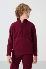 Ensemble de survêtement en polaire à col montant Tommylife Wholesale Serverer Boy, violet, référence 11218