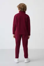 Ensemble de survêtement en polaire à col montant Tommylife Wholesale Serverer Boy, violet, référence 11218