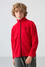 Tommylife Toptan Garson Boy Dik Yaka Standart Kalıp Basic Erkek Çocuk Polar Sweatshirt 11223 Kırmızı