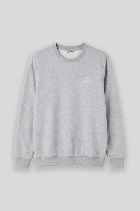 Sweat-shirt Tommylife en gros, gris chiné, col rond, grande taille, pour homme - 88126