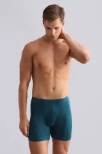 Mısırlı BAMBOO ZEUS Regular Fit Long Boxer Fit Green
