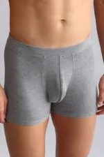 Mısırlı BAMBU ZEUS Regular Fit Boxer Gri Melanj