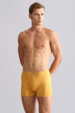 Boxer coupe classique BAMBOU ZEUS égyptien moutarde