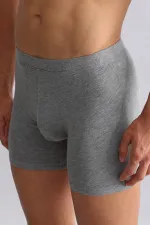 Mısırlı BAMBOO ZEUS Regular Fit Long Boxer Grey Melange