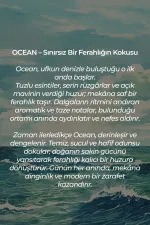 Mısırlı OCEAN – 125 Ml Çubuklu Oda Kokusu Renksiz