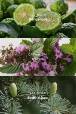 Egyptian Creed Valour – Eau de Parfum 100 ml pour homme, incolore