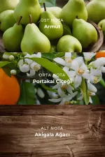 Mısırlı BLUE MAN 100 Ml EDP Erkek Parfümü Renksiz