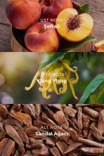 Kadın MARFA RUBY 100 Ml EDP Parfümü Renksiz