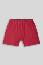 Mısırlı Men's Cotton Ares Boxer Shorts Burgundy