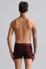 Boxer Modal By TENCEL SPARTACUS PERFORMANCE d'Égypte (Bourgogne)