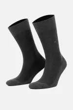 Chaussettes égyptiennes pour hommes en coton biologique, anthracite, à une seule chaussette