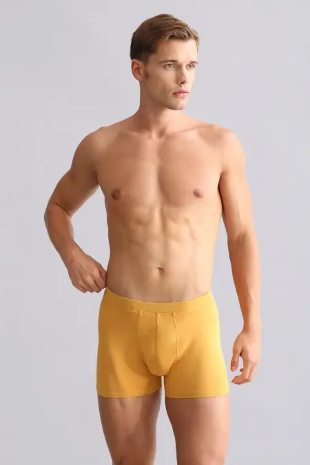 Boxer coupe classique BAMBOU ZEUS égyptien moutarde