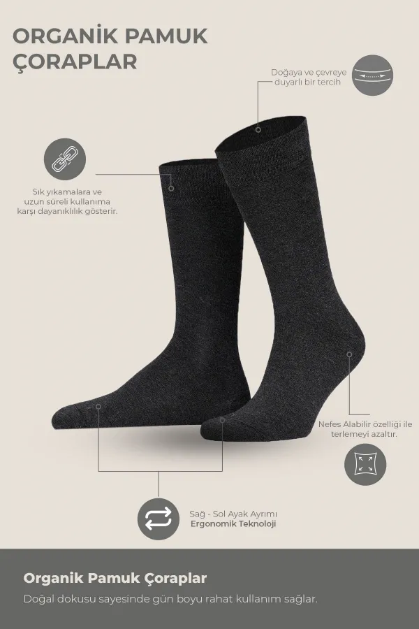Erkek Organik Pamuklu Kışlık 4 Çift Soket Çorap Antrasit