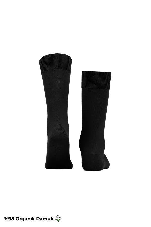 Chaussettes fines en coton uni pour homme, lot de 6 paires, multicolores