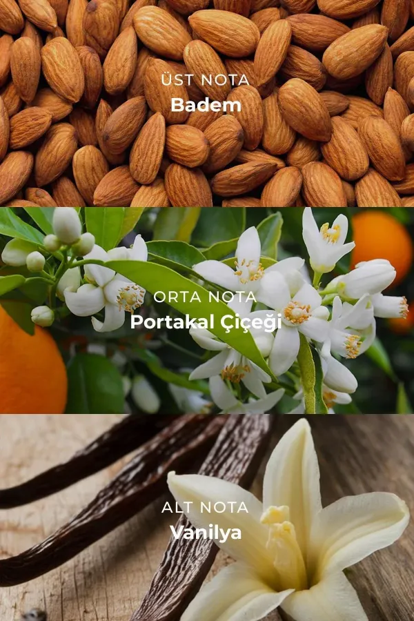 Mısırlı GLAM GIRL – 100 Ml EDP Kadın Parfümü Renksiz