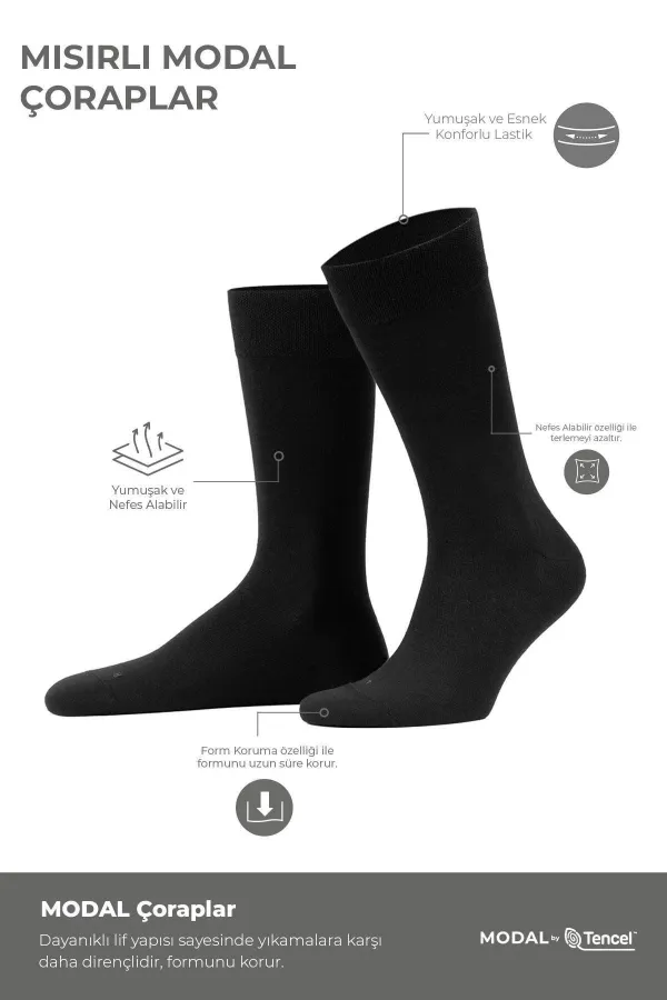 Mısırlı Erkek Modal Ergonomik Kutulu 6 Çift Soket Çorap Çok Renkli