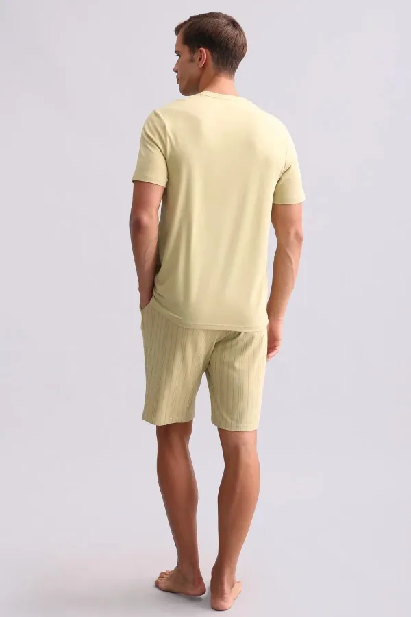 Mısırlı Erkek Bambu V Yaka Tişört Adaçayı Yeşili