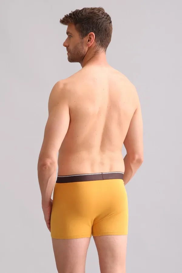 Mısırlı BAMBU SPARTACUS PERFORMANCE Boxer Hardal