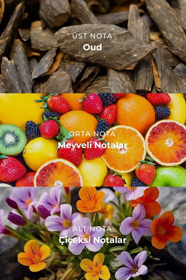 Mısırlı NAVY WORDS – 100 Ml EDP Erkek Parfümü Renksiz