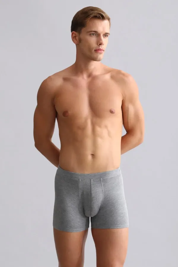 Mısırlı BAMBU ZEUS Regular Fit Boxer Gri Melanj