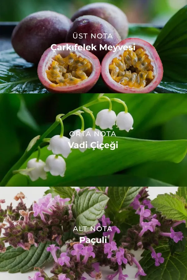 Mısırlı VELOUR – 100 Ml EDP Unisex Parfüm Renksiz