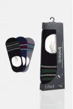 Aytuğ Men's Modal 3 Pairs Special Boxed Ballet Socks Multicolored