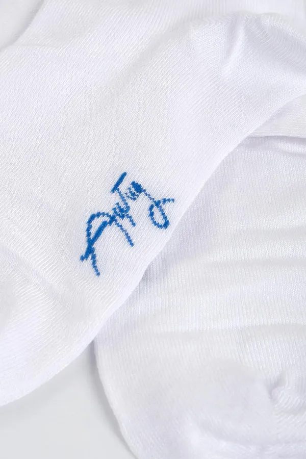 Aytuğ Women's Bamboo 4 Pairs Special Boxed Ankle Socks Multicolored