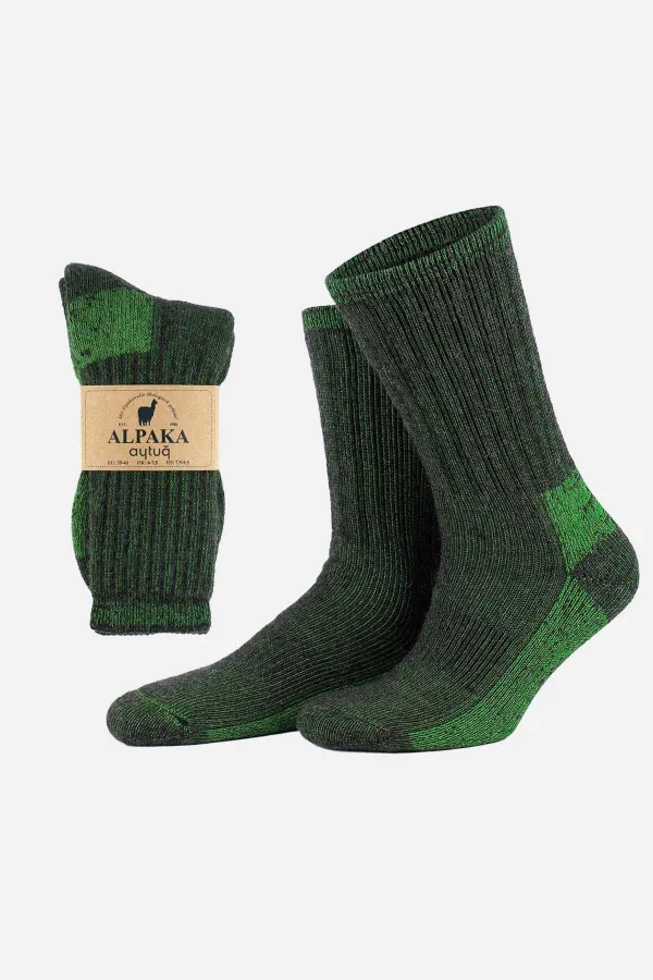 Chaussettes d'hiver unisexes Aytuğ en laine éponge d'alpaga marron-vert