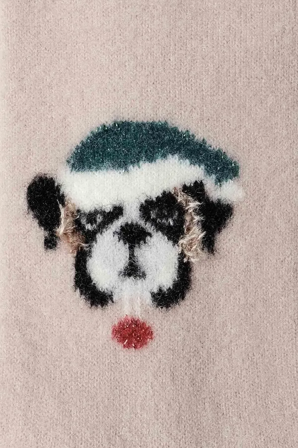 Aytuğ Women's Plush Thermal Single Dog Pattern Christmas Themed Socks Dog Design