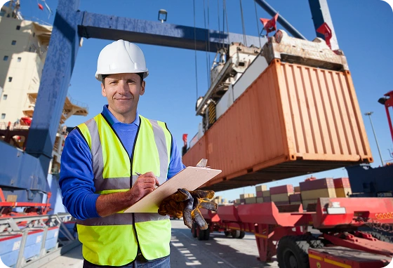 Customs clearance expert